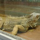 ���� ������, ������, 54 ���� - ��������� 8 �������� 2014 � ������ ��������