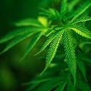 ���� ����, ����� - ��������� 20 ������ 2014 � ������ ���� ����������