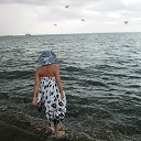 ���� �������, ��������� - ��������� 3 ������ 2014 � ������ ���� ����������