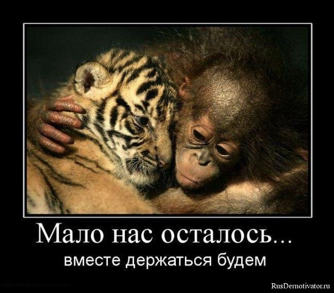 ������� ��������� - 22 ������ 2014 � 22:22