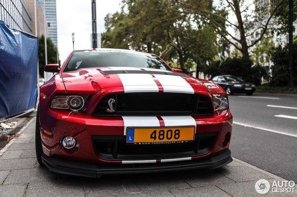 Shelby GT500 '2013 - 3