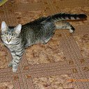 ���� �����, ������, 48 ��� - ��������� 14 ������� 2014 � ������ ���� ����������