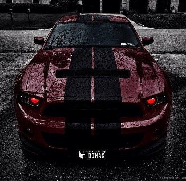 Shelby GT500. - 5