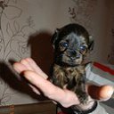 ���� ����, �����-���������, 47 ��� - ��������� 26 ������� 2014 � ������ ���� ����������