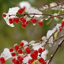 ���� Alexandra, �����������, 40 ��� - ��������� 13 ������ 2014 � ������ ���� ����������