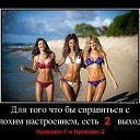 ���� �����, �����-��������� - ��������� 4 ������� 2014 � ������ ������ ��������
