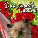 ���� ������, ����������� - ��������� 8 �������� 2014 � ������ ������ ��������