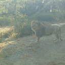 ���� �����, ���������, 52 ���� - ��������� 8 �������� 2014