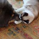 � ��� ������! �� ������� �������� �����)�