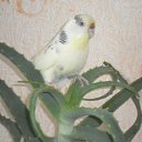 ��� ���� �� ������� ���� ����������