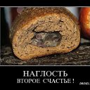 ���� ������ , ����� - ��������� 20 �������� 2014 � ������ ���������