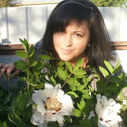 ���� ����, ������, 54 ���� - ��������� 17 ������� 2014