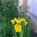  Nadegda,  -  23  2014