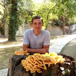 ���� ����, �����������, 47 ��� - ��������� 3 ������� 2014