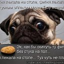 ���� ���� ������, ������, 59 ��� - ��������� 31 ������� 2014 � ������ ������ ��������