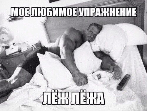 SportFeed - 28  2014  11:03