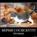 ���� ���������, �����-��������� - ��������� 30 ������� 2014 � ������ ��������
