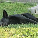 ���� ���������, ���������������, 61 ��� - ��������� 30 �������� 2014 � ������ ������ ��������