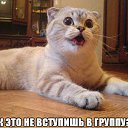  ,  -  14  2014    