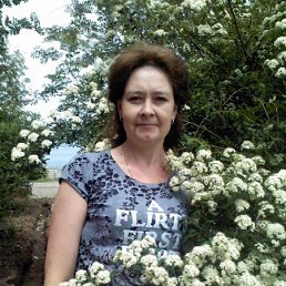 �����, ������, 52 ����