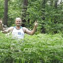 ���� ����� �����������, �����������, 44 ���� - ��������� 15 �������� 2014 � ������ ���� ����������