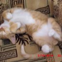 ���� ������, ����� - ��������� 27 ������� 2014 � ������ �������