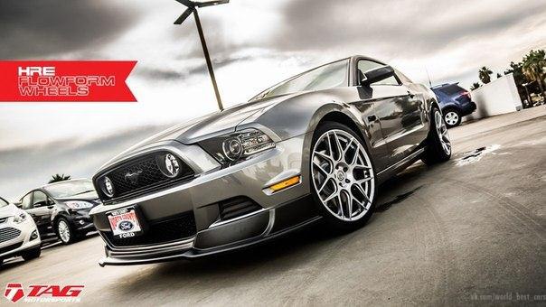 Ford Mustang GT.5.0L V8: 420 .. : 529 :  : ...