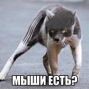 ���� ������, ������, 42 ���� - ��������� 19 ������ 2014 � ������ ������ ��������