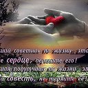 ���� �������, ����������� - ��������� 13 �������� 2014 � ������ ������ ��������