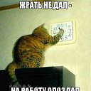 ���� Max, ���� - ��������� 22 ������� 2014 � ������ ������ ��������