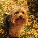 ���� �� ������� ����������� �����,���� � �����