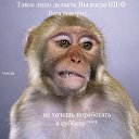 ���� ���������, ���������, 42 ���� - ��������� 2 ������ 2014 � ������ ���� ����������
