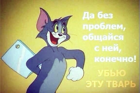 ,  , .)