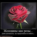 ���� Zakir, ���������, 44 ���� - ��������� 23 ������� 2014 � ������ ������ ��������
