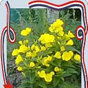 ���� ������, �����������, 63 ���� - ��������� 27 ������� 2014 � ������ ���� ����������