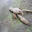 � ����� ���� �������, ������ �� ����� � "����� �����" �� ������� ���� ����������