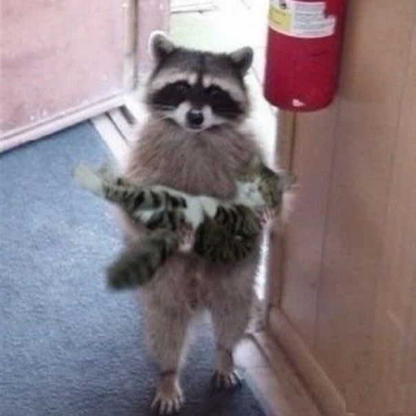    ?)))