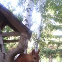 ���� ������� 89835284341, ����, 48 ��� - ��������� 29 �������� 2014 � ������ ���� ����������