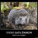���� �������, ������ - ��������� 29 ������� 2014 � ������ ���� ����������