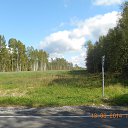 ���� ����, ������, 46 ��� - ��������� 23 ������� 2014 � ������ ���� ����������