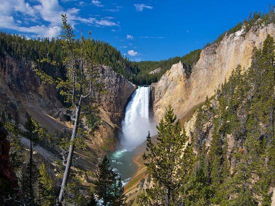 Yellowstone National Park - 8