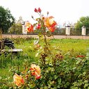 ���� ����, ������� �����, 51 ��� - ��������� 3 ������� 2014 � ������ ������ ��������