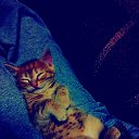 ���� Disa King, �������� - ��������� 24 ������ 2014 � ������ ������ ��������