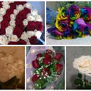 ���� �����, �����������, 38 ��� - ��������� 27 ������ 2014 � ������ ������ ��������