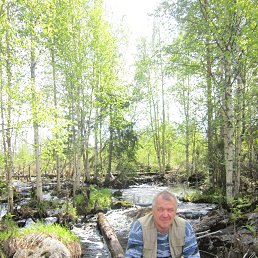  , 65, 