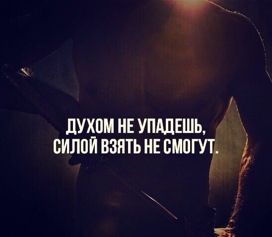 SportFeed - 5  2014  09:49