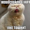 ���� ������, ���������, 43 ���� - ��������� 23 ������� 2014 � ������ ������ ��������