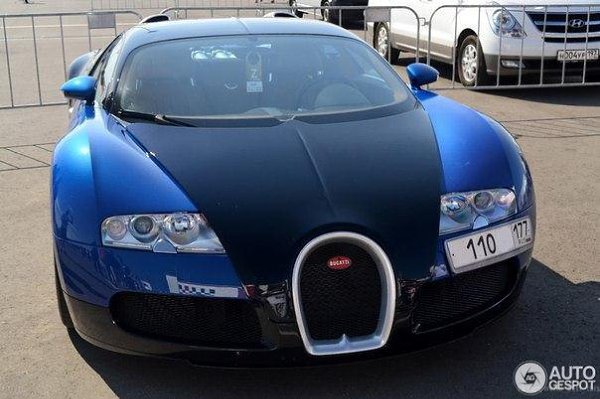 Bugatti Veyron, 200511.   300     .  ... - 4