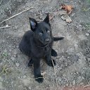 ���� Vlad, ������ - ��������� 22 �������� 2014 � ������ ������ ��������