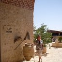 ���� �����, ������������ - ��������� 24 �������� 2014 � ������ ���� ����������